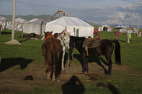 Монгольское село